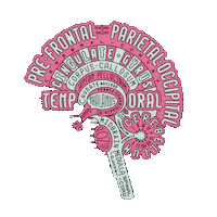 Brain Neuro Sticker
