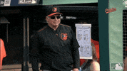 buck showalter GIF by MLB