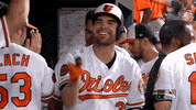 Major League Baseball Sport GIF by MLB