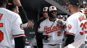 Major League Baseball Sport GIF by MLB