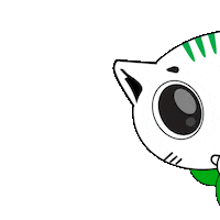 Cat Meme Sticker by Gojek Indonesia