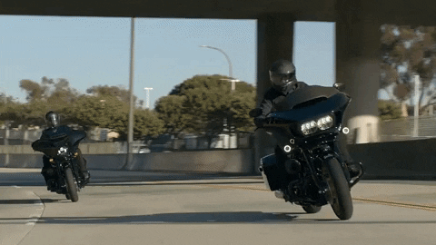 Brand Adventure GIF by Harley-Davidson