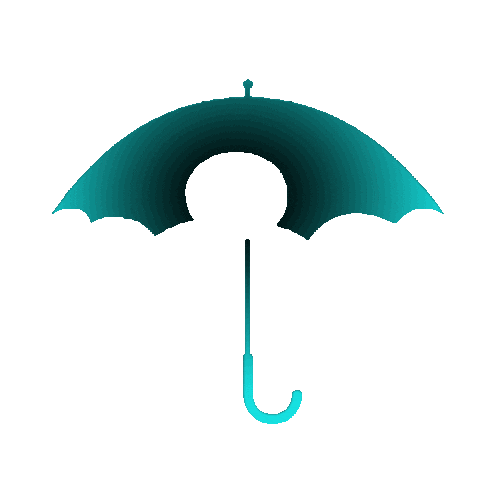 Rain Sticker