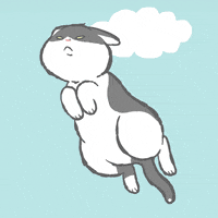 Cat Love GIF by GORO