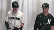 Collegebaseball Ncaadii GIF by RiverHawk Sports