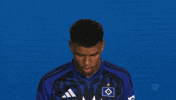 Look Up Hamburger Sv GIF by Bundesliga