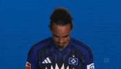 Look Up Hamburger Sv GIF by Bundesliga