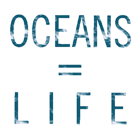 Summer Life Sticker by parley