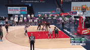 GIF by NBC Sports Boston