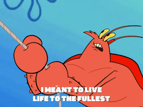 season 6 GIF by SpongeBob SquarePants
