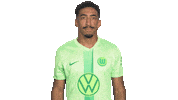 Three Points Win Sticker by VfL Wolfsburg