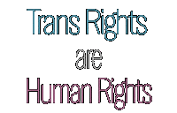 Lgbt Trans Sticker by PinkNews