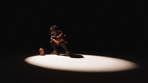 Football Vancouver GIF by BC Lions