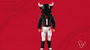 Angry Nfl GIF by Houston Texans