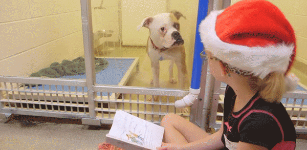 this christmas GIF
