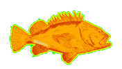 California Fishing Sticker by Put Me Outside
