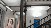 GIF by Mo HQ