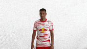 Football No GIF by RB Leipzig