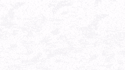 mary shelley animation GIF