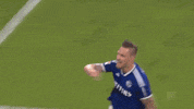 Celebration Win GIF by FC Schalke 04