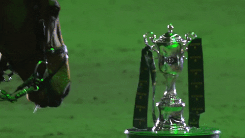 RolexGrandSlam giphyupload kiss horse trophy GIF