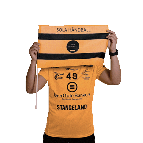 Solahk Sticker by Sola Håndball