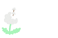 Flower 花 Sticker
