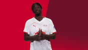 Football Celebration GIF by RB Leipzig