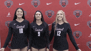 College Sports Sport GIF by CWU Athletics