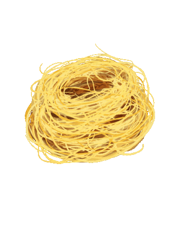 Angel Hair Pasta Sticker by Bianca Bosso