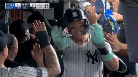 New York Yankees Sport GIF by MLB