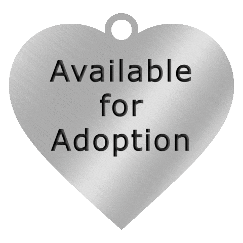 SBcountyDPH pet adoption san bernardino animal care animal adoption Sticker