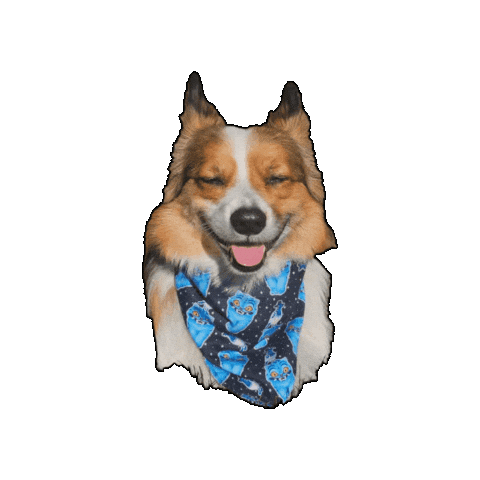 Corgi Bentley Sticker by Geekster Pets