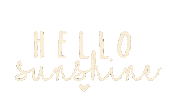 Sun Sunshine Sticker