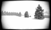 snow GIF
