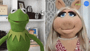 The Muppets Kermit GIF by BuzzFeed