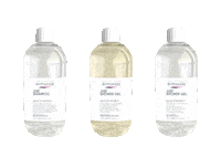 Byphassebacktobasics Sticker by Byphasse