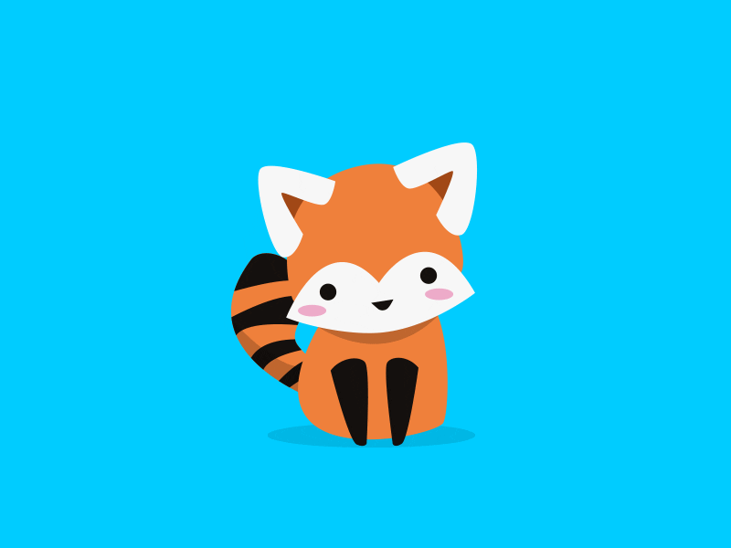 red panda GIF