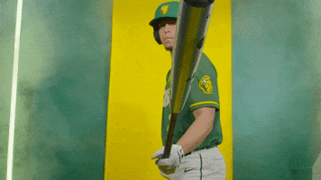 Huggins GIF by NDSU Athletics