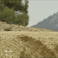 Ford Fun GIF by FIA World Rally Championship