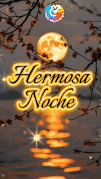 Amigos Flores GIF by Murcianys LLC