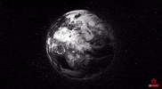 brillz GIF by Disco Donnie Presents