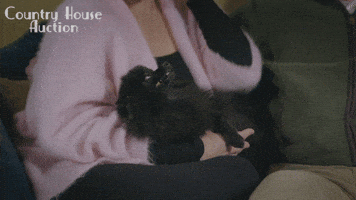 BigMountain cute dog pomeranian petting GIF