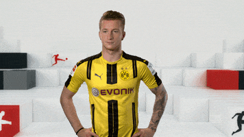 borussia dortmund GIF by Bundesliga
