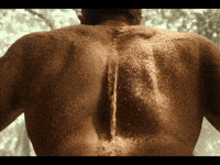 Ram Charan Fight GIF