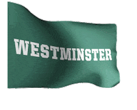 Sticker by Westminster