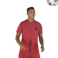 Heroisl Northeastunitedfc Sticker by Indian Super League