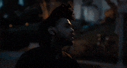 The Hills GIF by The Weeknd