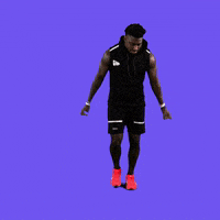 National Football League GIF by NFL