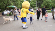 GIF by Confederação Brasileira de Futebol